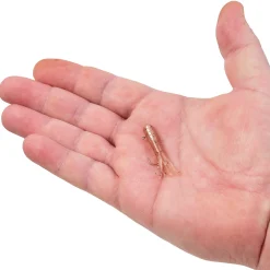 Berkley PowerBait® Pre-Rigged Atomic Tubes