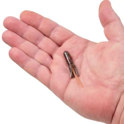 Berkley PowerBait® Pre-Rigged Atomic Teasers