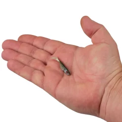 Berkley PowerBait® Ripple Shad