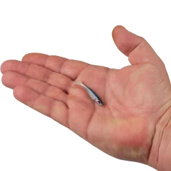 Berkley PowerBait® Ripple Shad