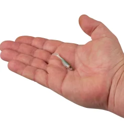Berkley PowerBait® Ripple Shad