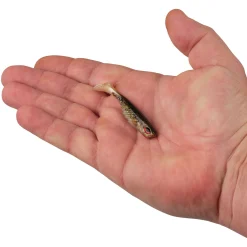 Berkley PowerBait® Ripple Shad
