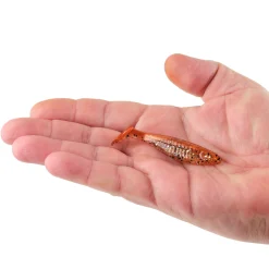 Berkley PowerBait® Saltwater The Champ Swimmer