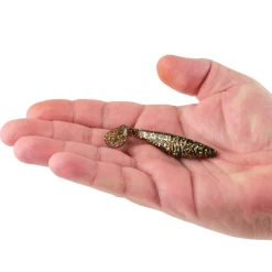 Berkley PowerBait® Saltwater The Champ Swimmer