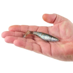Berkley PowerBait® Saltwater The Champ Swimmer
