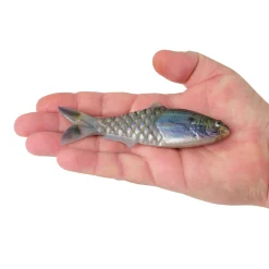Berkley PowerBait® Saltwater Gillydine