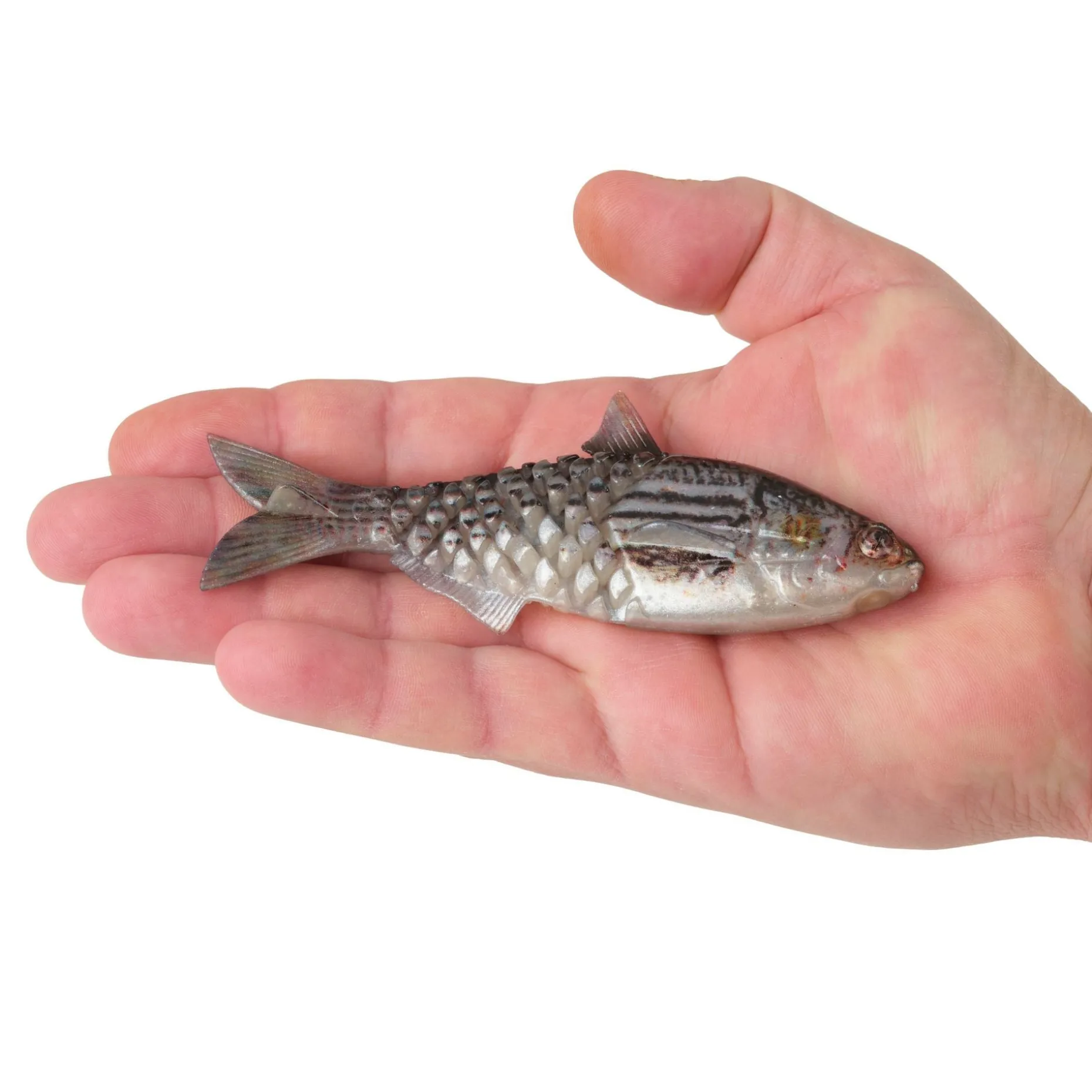 Berkley PowerBait® Saltwater Gillydine