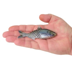 Berkley PowerBait® Saltwater Gillydine