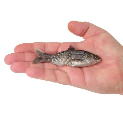 Berkley PowerBait® Saltwater Gillydine