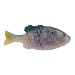 Berkley PowerBait® Saltwater Gilly