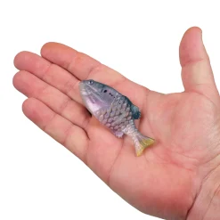 Berkley PowerBait® Saltwater Gilly