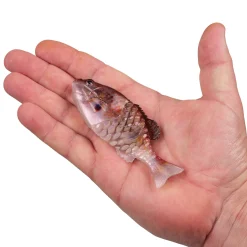 Berkley PowerBait® Saltwater Gilly