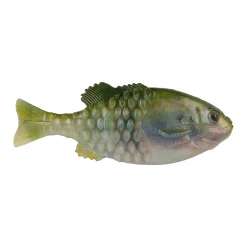 Berkley PowerBait® Saltwater Gilly
