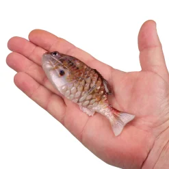 Berkley PowerBait® Saltwater Gilly