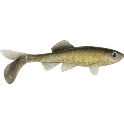 Berkley PowerBait® Sick Fish