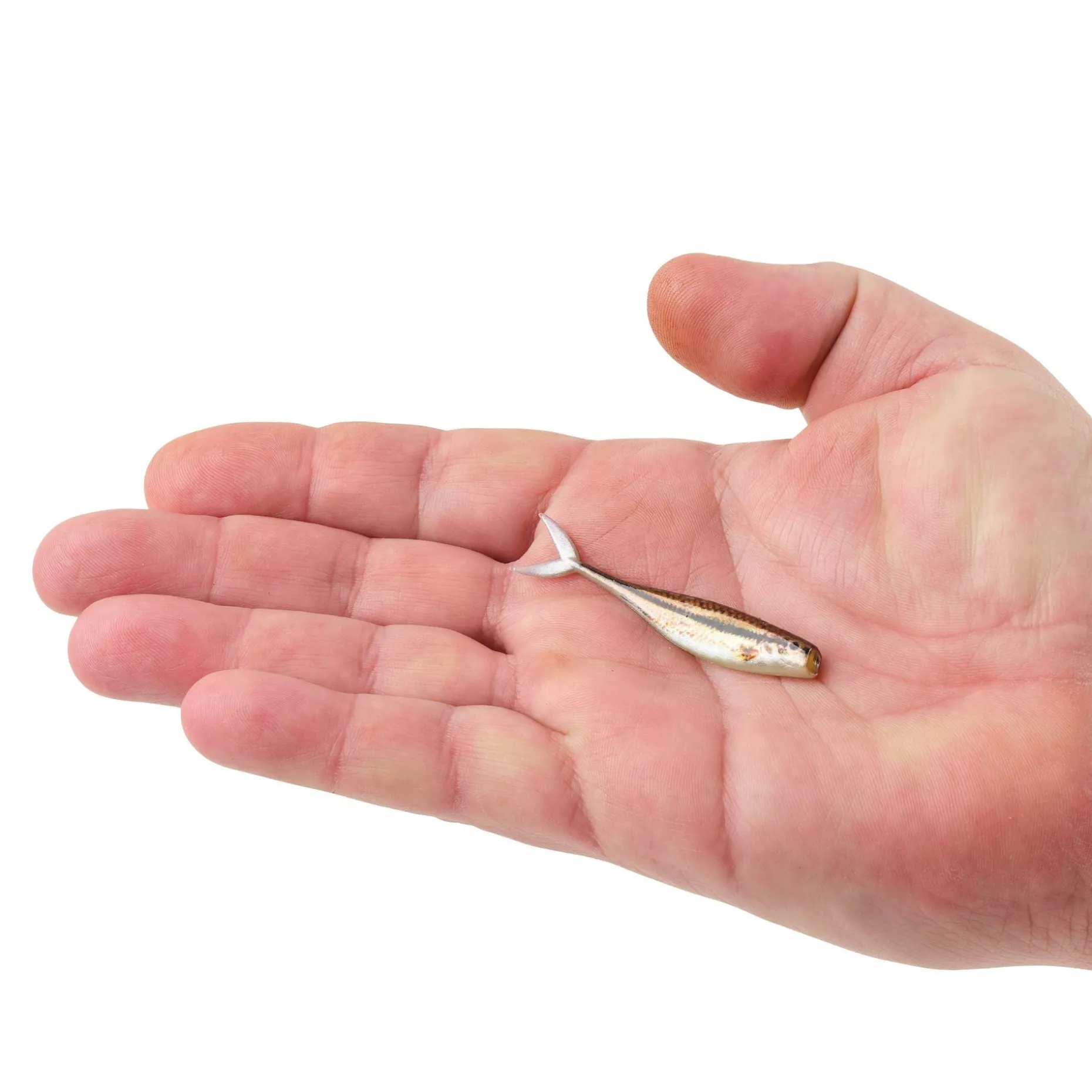 Berkley PowerBait® The Champ Minnow