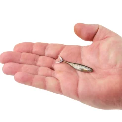 Berkley PowerBait® The Champ Minnow
