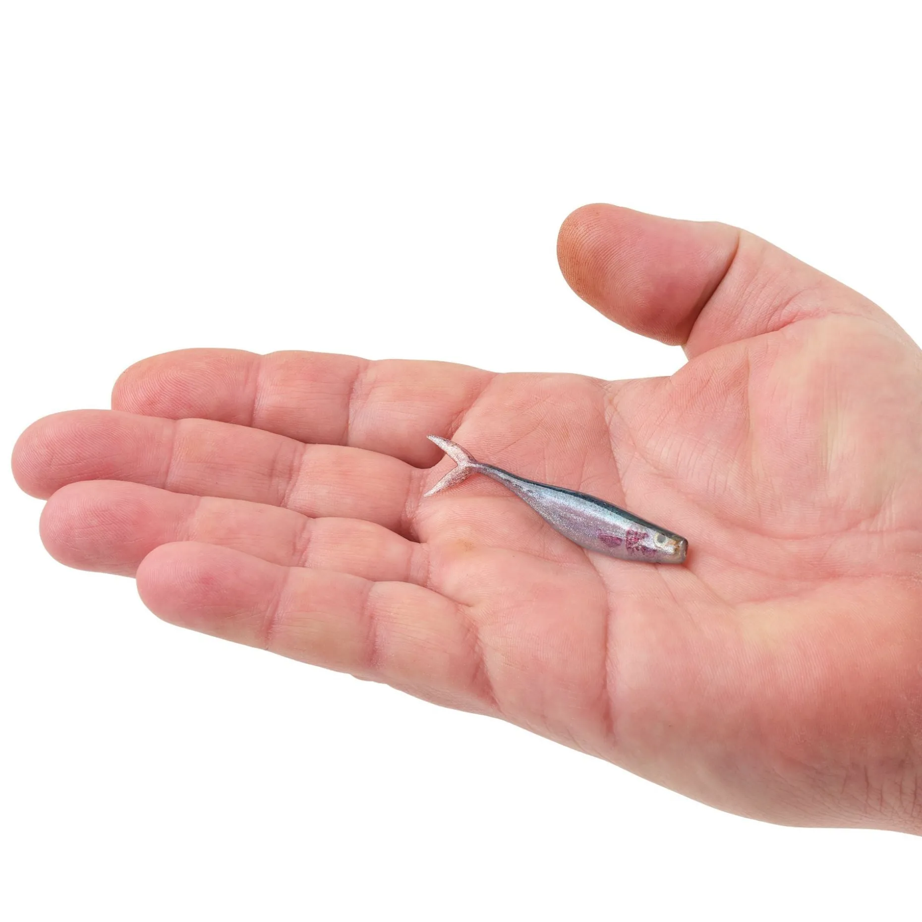 Berkley PowerBait® The Champ Minnow