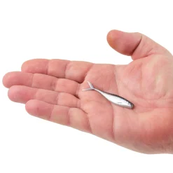 Berkley PowerBait® The Champ Minnow