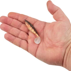Berkley PowerBait® The Champ Swimmer