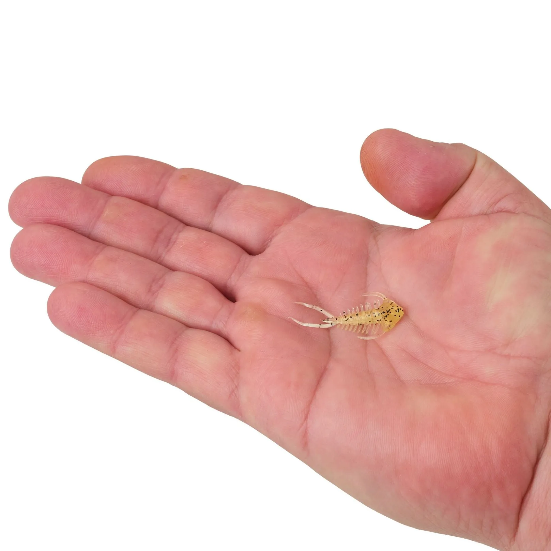 Berkley PowerBait® Trilobite