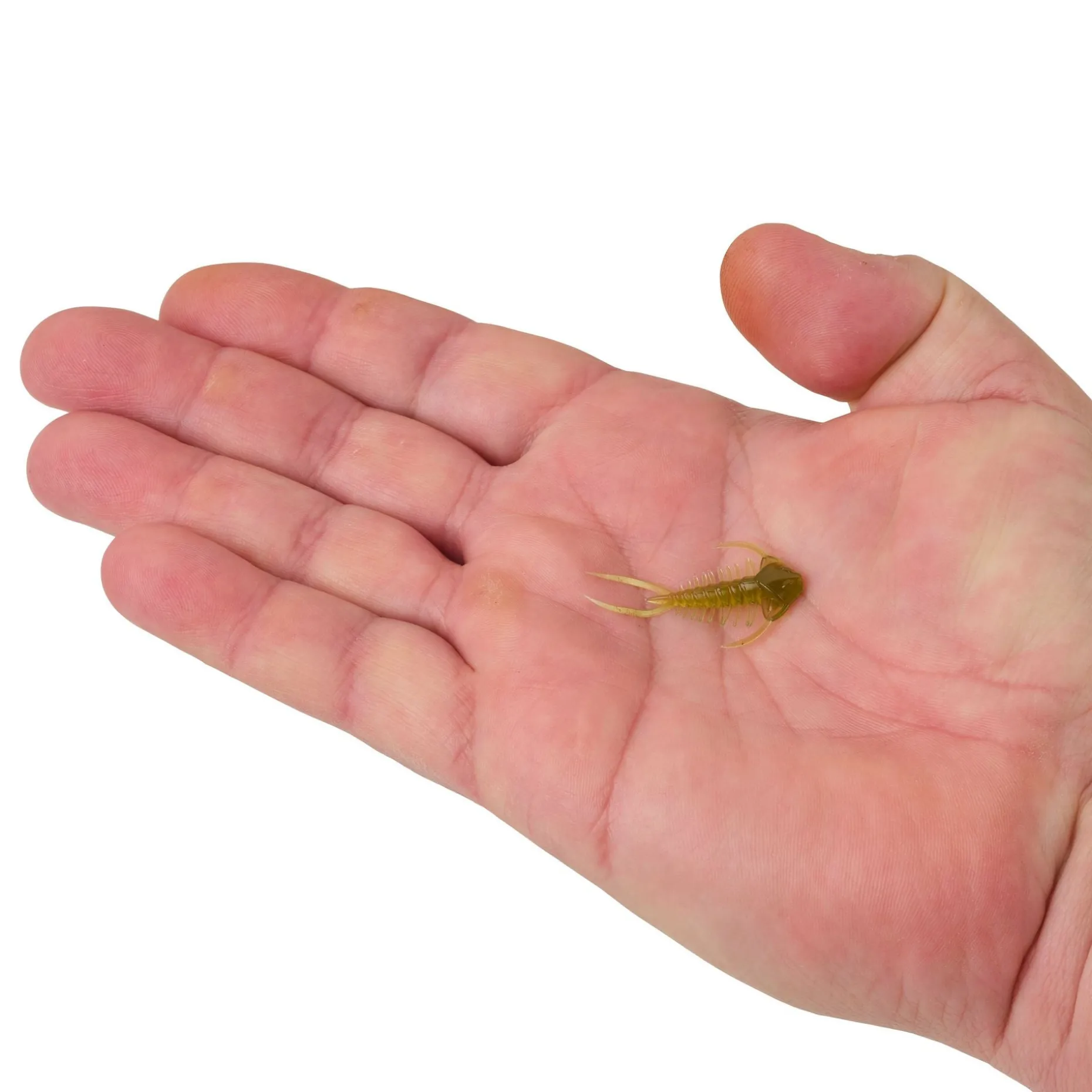 Berkley PowerBait® Trilobite
