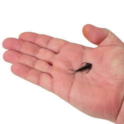 Berkley PowerBait® Trilobite