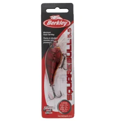 Berkley SquareBull