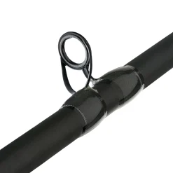 Fenwick Eagle® Bass Casting Rod