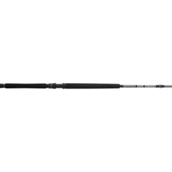 PENN Ally™ II Conventional West Coast Rod