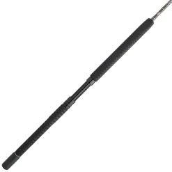 PENN Carnage™ III Boat Conventional