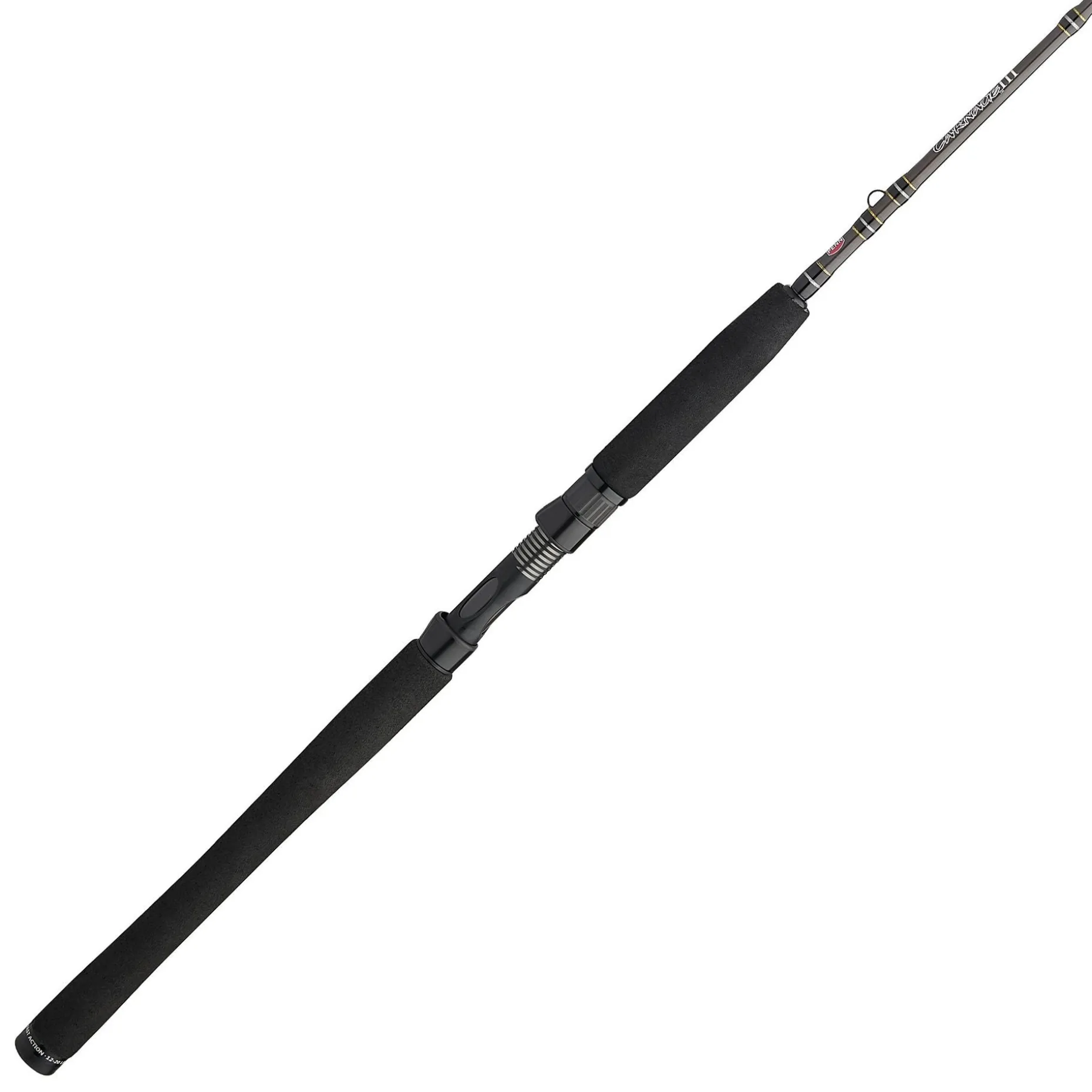 PENN Carnage™ III Inshore Casting