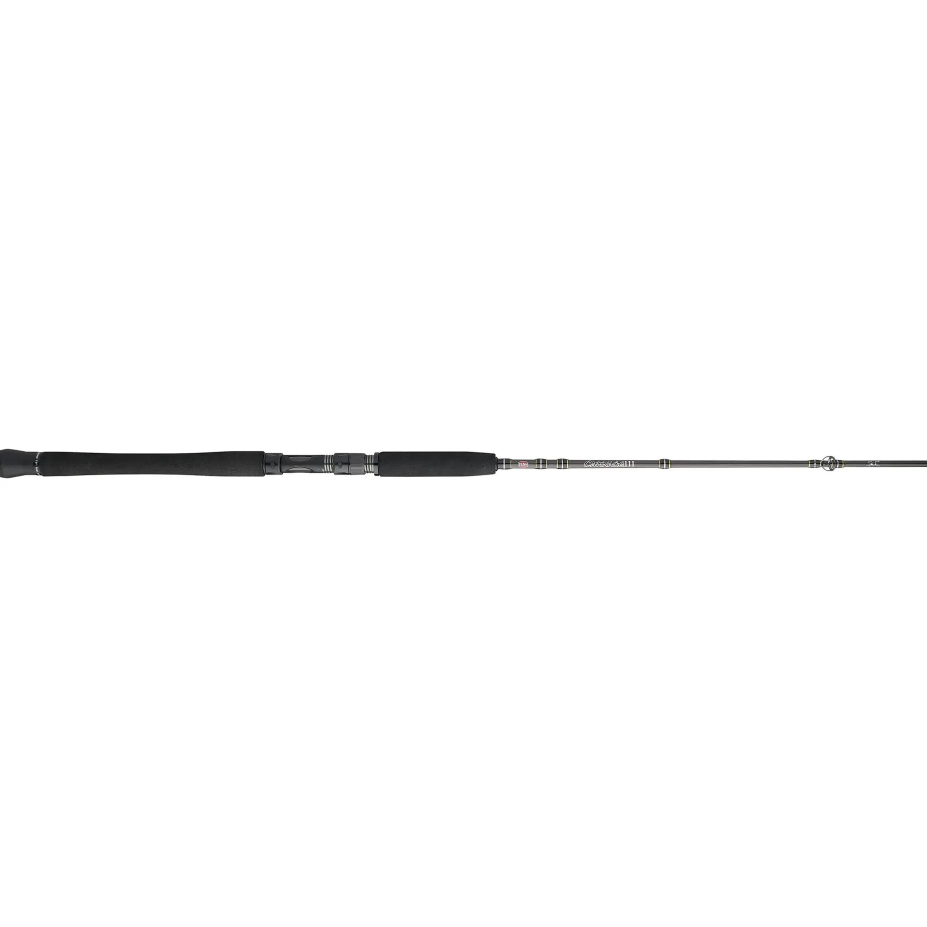 PENN Carnage™ III Inshore Casting