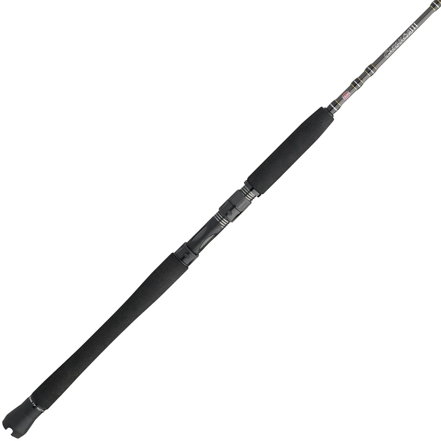 PENN Carnage™ III Inshore Casting