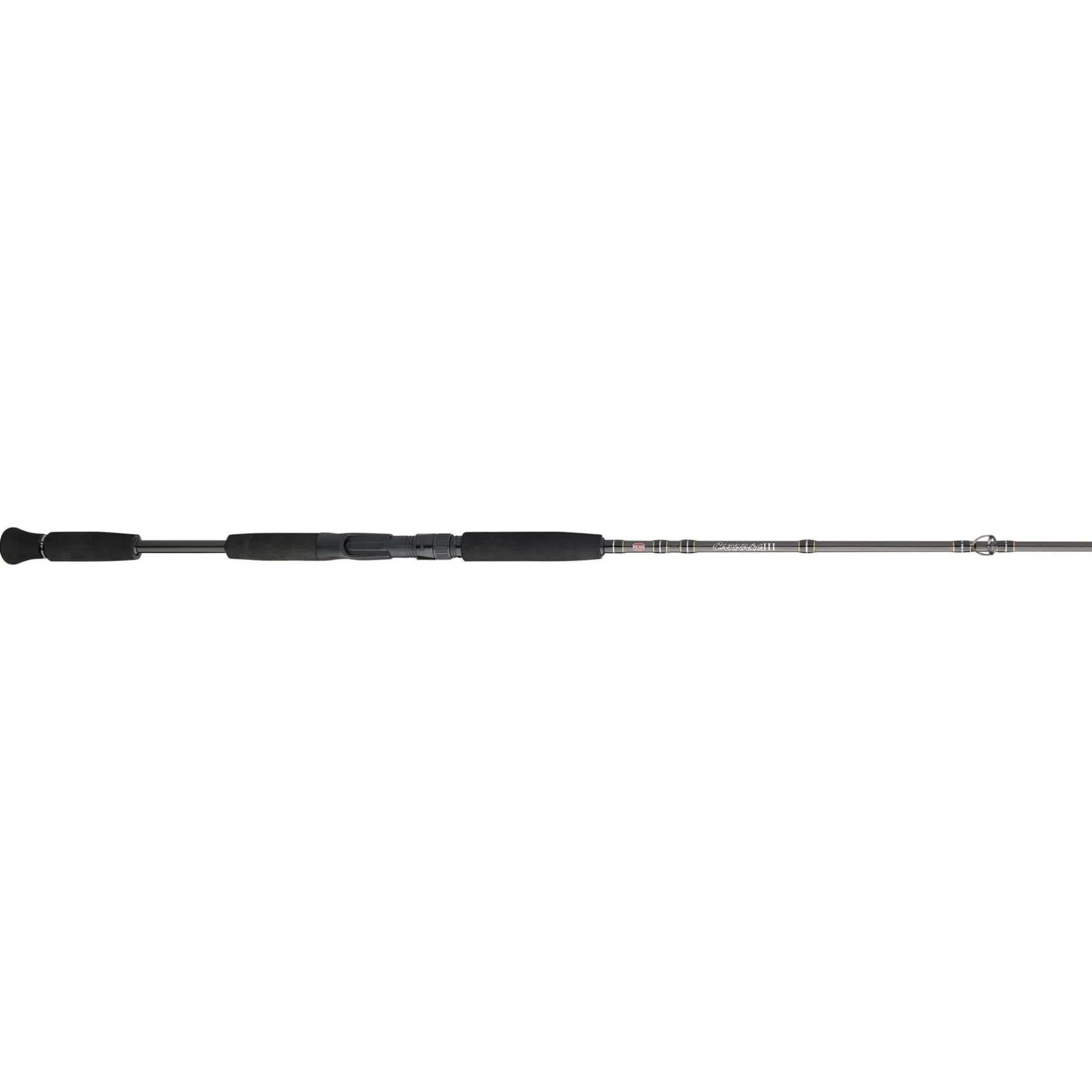 PENN Carnage™ III Inshore Casting