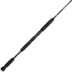 PENN Carnage™ III Inshore Casting