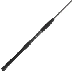 PENN Carnage™ III Inshore Casting
