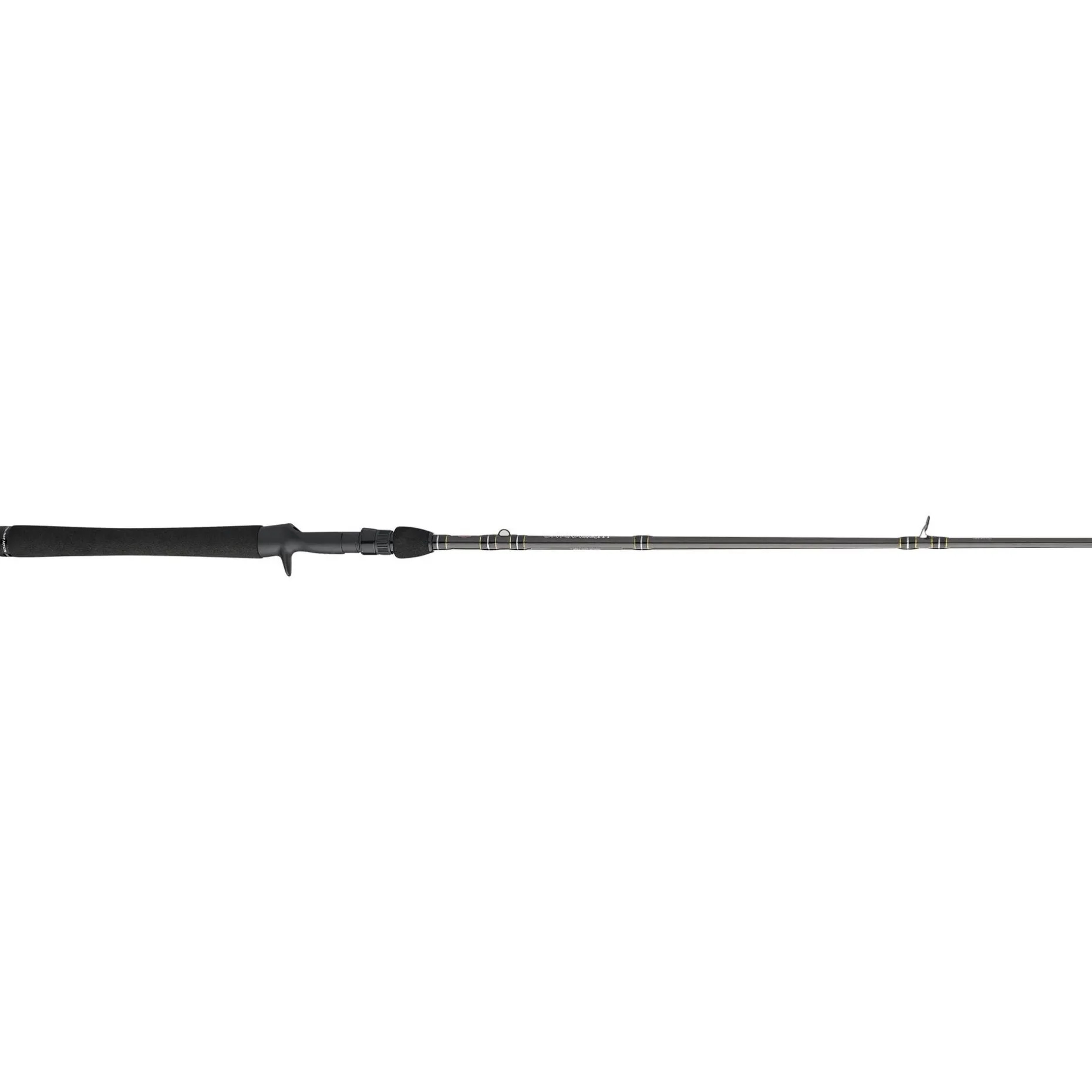 PENN Carnage™ III Inshore Casting