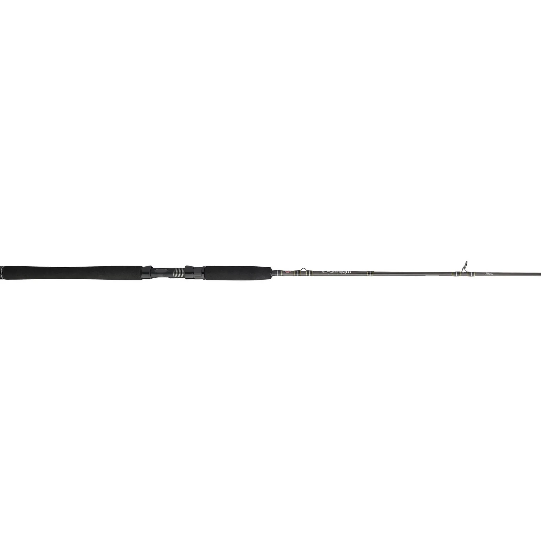 PENN Carnage™ III Inshore Casting
