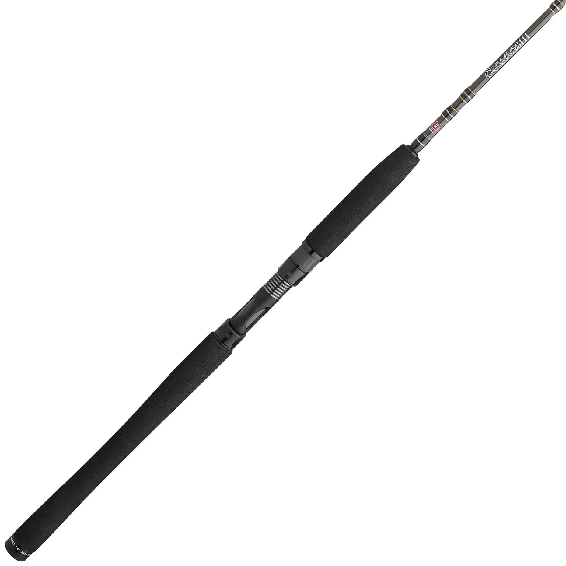 PENN Carnage™ III Inshore Casting