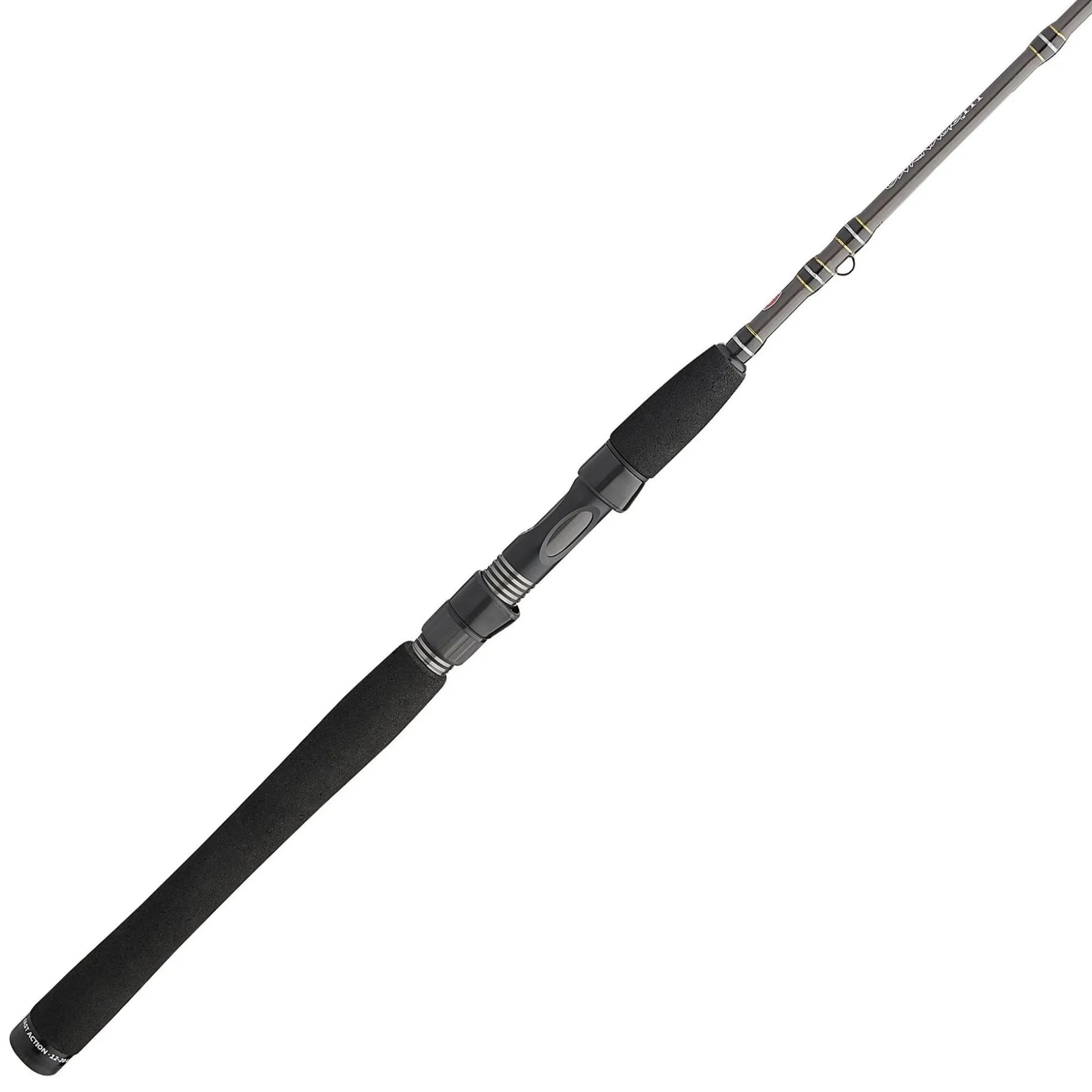 PENN Carnage™ III Inshore Spinning