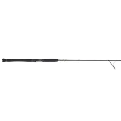 PENN Carnage™ III Inshore Spinning