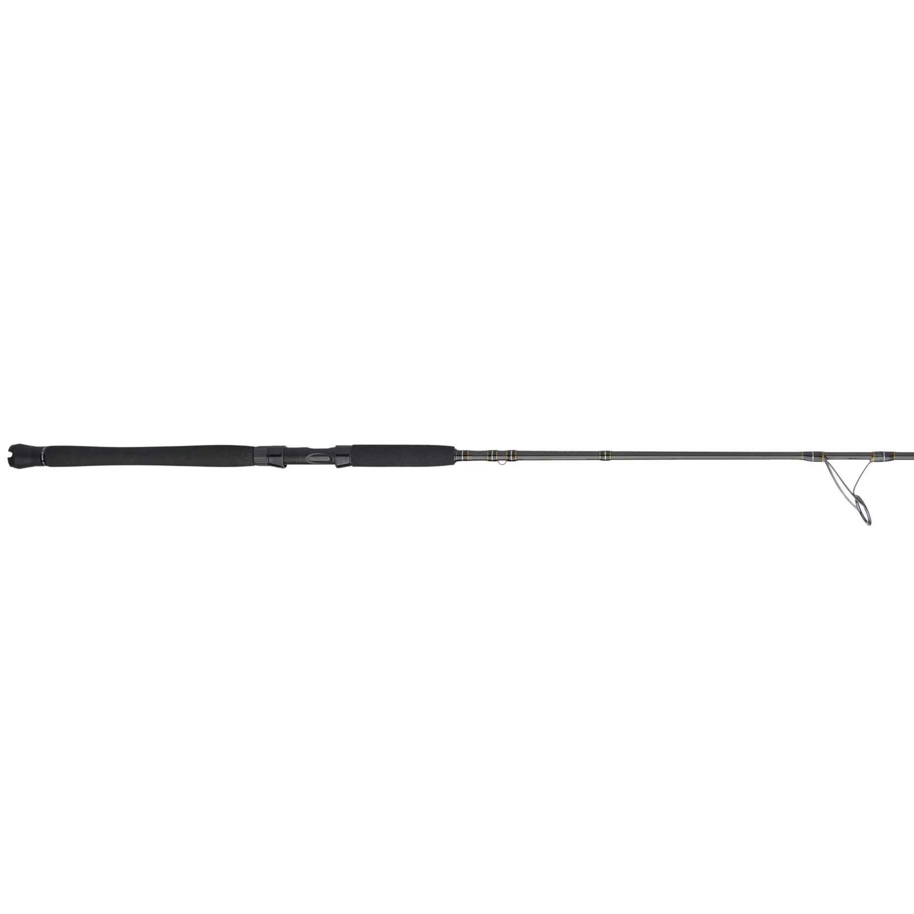 PENN Carnage™ III Inshore Spinning