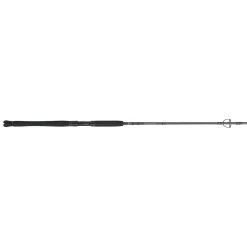 PENN Carnage™ III Inshore Spinning