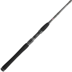 PENN Carnage™ III Inshore Spinning