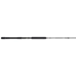 PENN Carnage™ III Jig Conventional