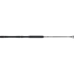 PENN Carnage™ III Jig Spinning