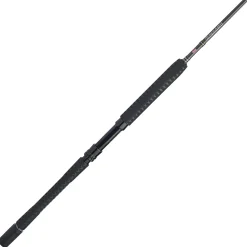 PENN Carnage™ III Jig Spinning