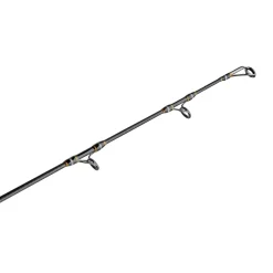 PENN Carnage™ III Jig Spinning