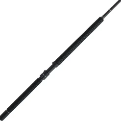 PENN Carnage™ III Offshore Conventional